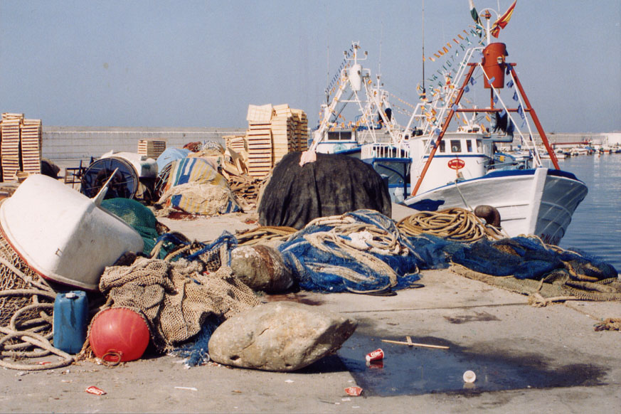 Pesca de pelágicos