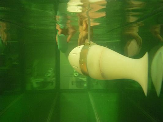 Robotic fish robotic fish