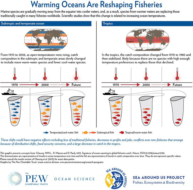 Warming oceans are reshaping fisheries